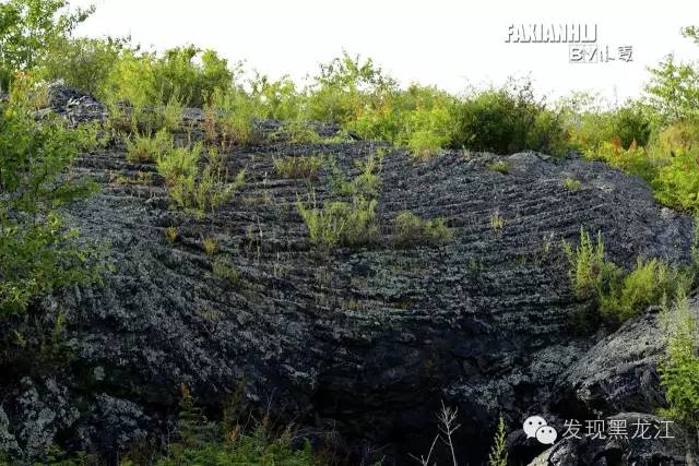 绳状熔岩,熔岩呈波状向下流动推挤,冷凝后成绳状,其弯曲方向指示熔岩