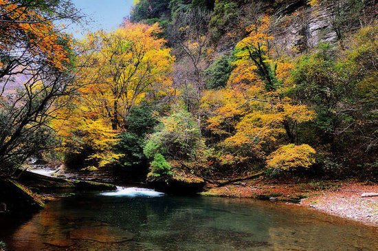 黄柏塬风景区为大秦岭最核心腹地,距