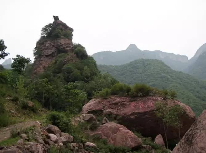 地址:平顶山市鲁山县尧山镇 小沟背环境好,人也不多,空气好,水多而且