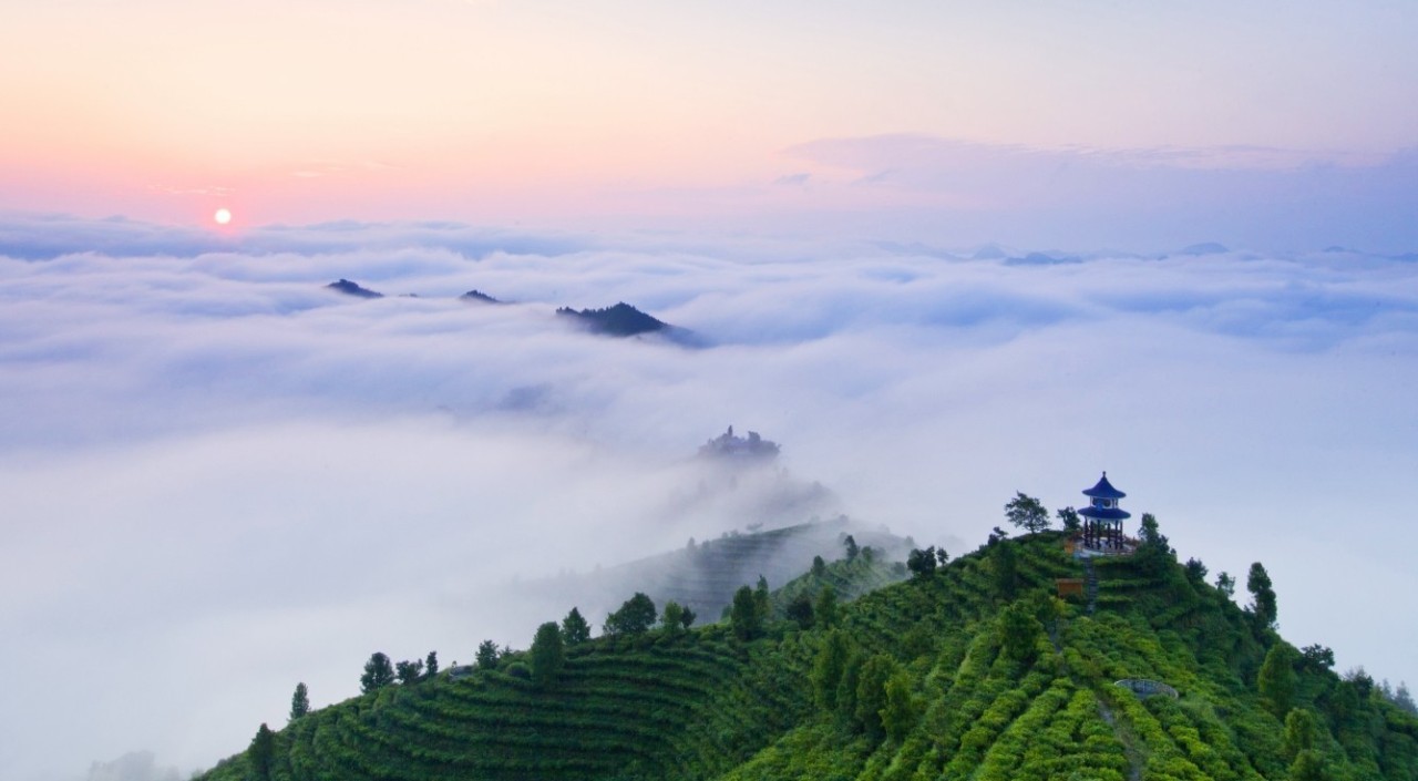 凌云茶山金字塔景区