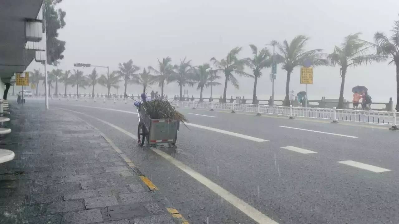 珠海人口外地_珠海人口增长趋势图