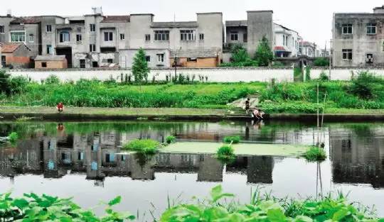 洪湖市有多少人口_洪湖市有特警图片(2)