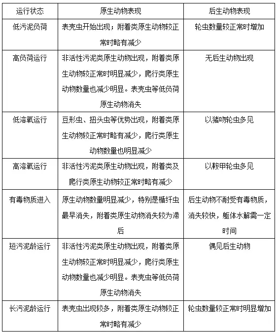 【图谱·下】说说活性污泥微生物镜检(下)之运行