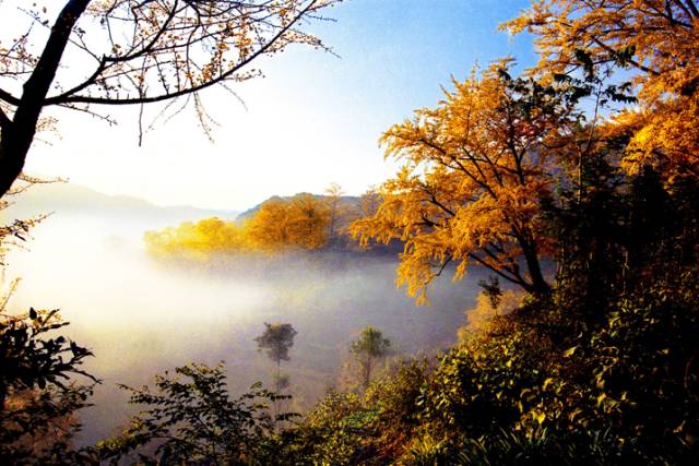这座拥有贵州最美秋天的小城,被评为中国最适