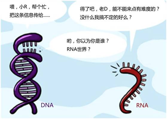取得重大进展,科学家首次实现单对多RNA复