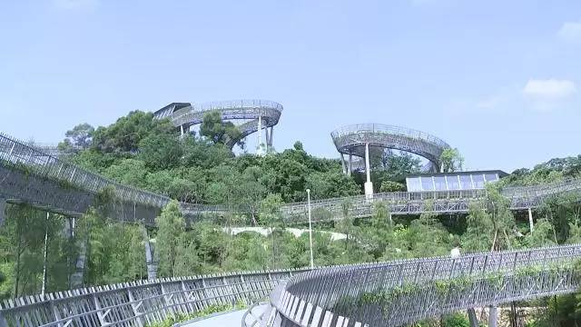 左海公园—金牛山城市森林步道建设工程