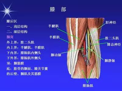 升级秘籍:膝关节疼痛的诊治