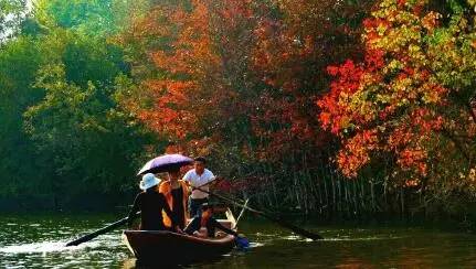 英山有多少人口_英山四季花海景区(3)