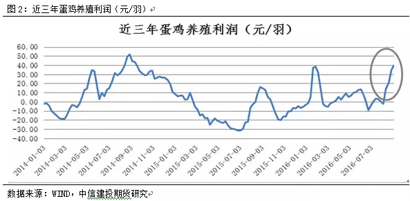 鸡蛋去淤青的原理_鸡蛋消除淤青的原理基本与热敷是一致的,另外鸡蛋因为含有较多的蛋白质(2)