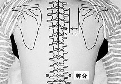 章门穴位置在腹侧,位于腋中线第十一肋骨端稍下处,位置如图所示.