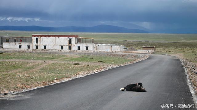 这条进藏公路，比川藏线更危险，却也比川藏线更原