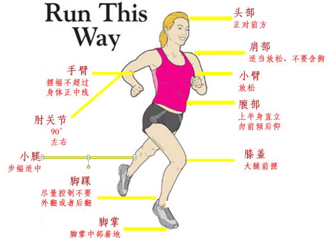 你不会跑步--盘点跑步最易错的6个姿势!