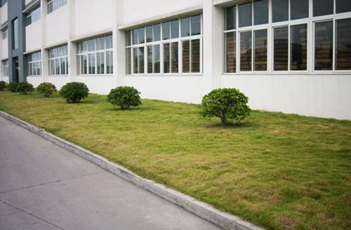 在工厂环境设置中,合理利用绿色植物在保护环境和净化空气方面起着