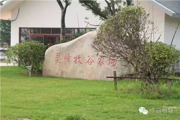 相城灵峰牧谷农场入选首批省级研学旅游基地,家有萌娃的家长千万别