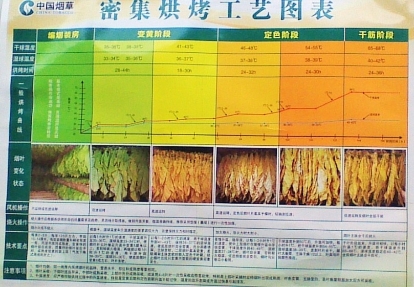 烤烟不退色怎么办