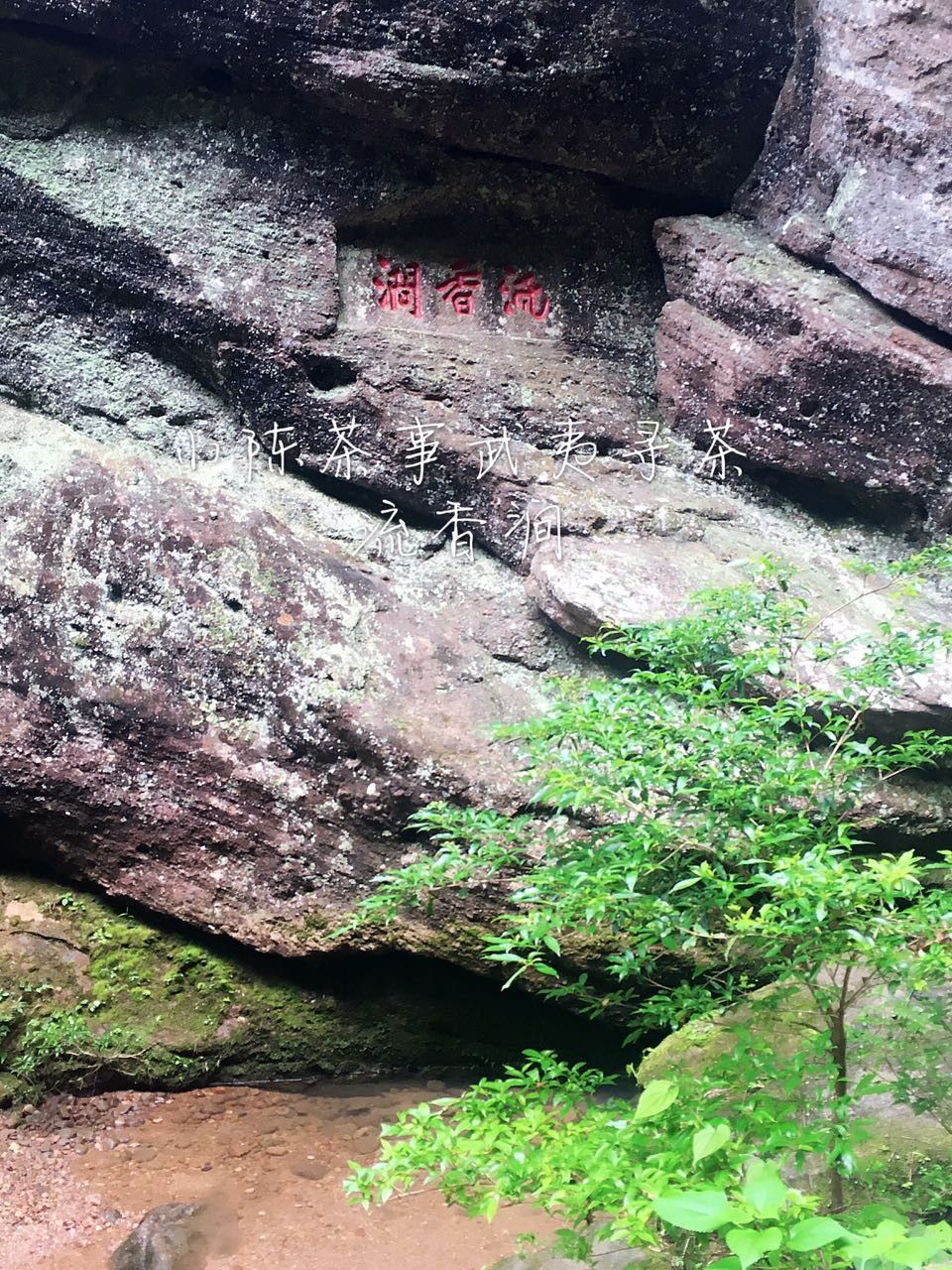 岩茶三坑两涧风云录大坑口竟然靠这挤掉了倒水坑