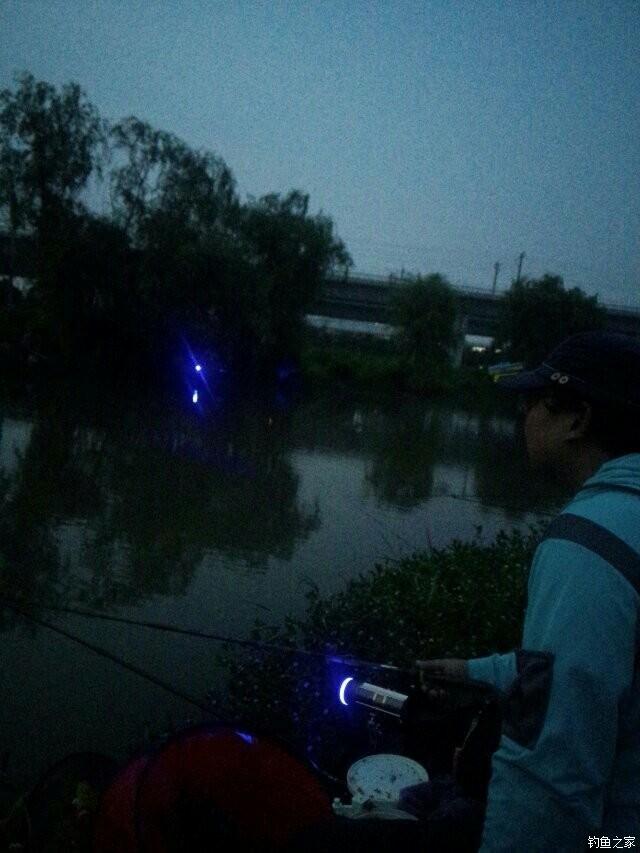 夜钓天塘屁股坐正,天黑之后彻底嗝屁,好真实的写