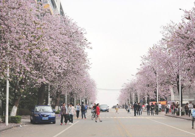 广州失业人口_外围热门板块 朱村 长岭居 南沙 花都 楼价实录 三年前的总价