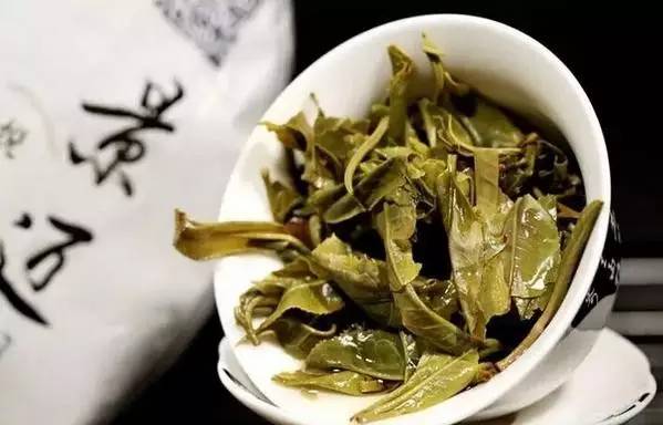 普洱茶简明知识 普洱茶茶青辨识.