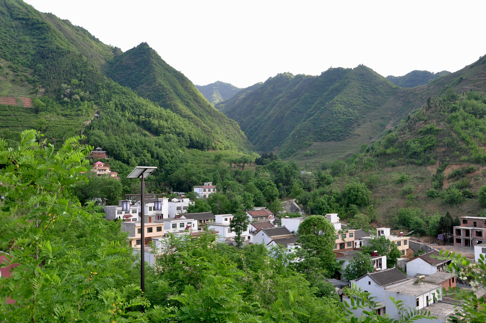 竹林关镇人口_竹林关镇桃花谷图片