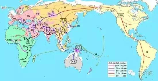 中国女性人口分布_2014年末中国大陆人口超13.6亿 男性比女性多3376万(3)