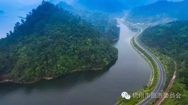 杭州竟藏了13条最美绿化通道,颜值刷新中国式