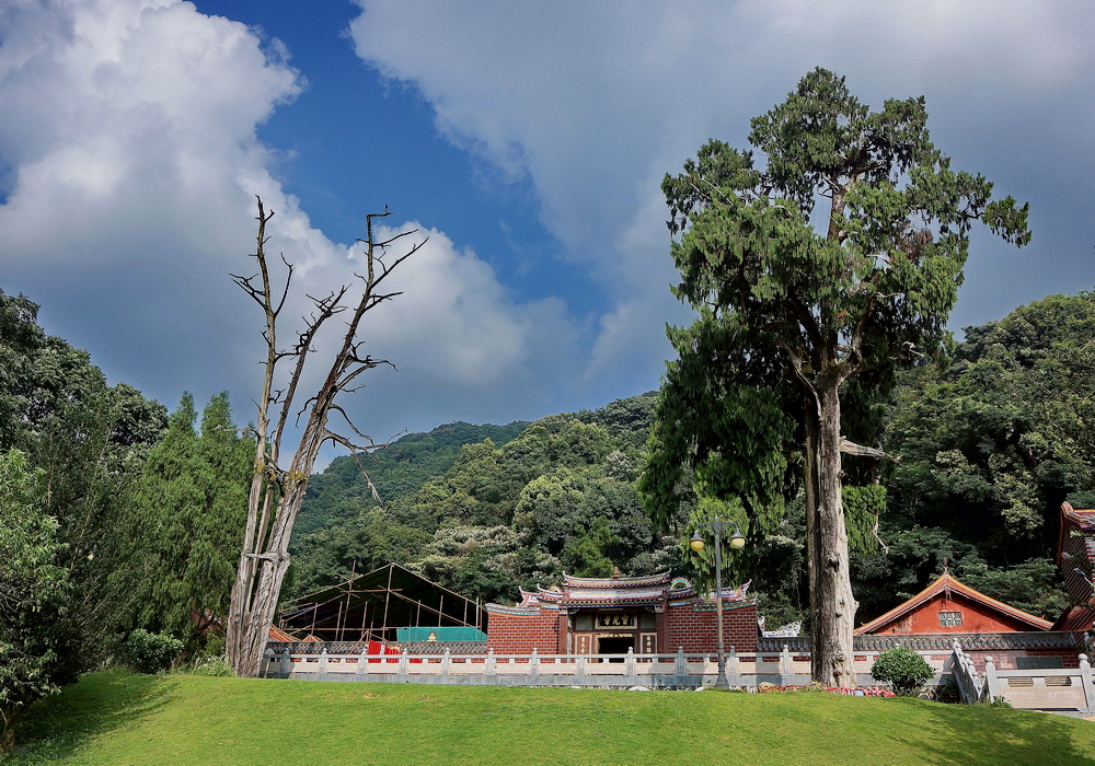 梅州灵光寺: 佛前分阴阳,千年生死树