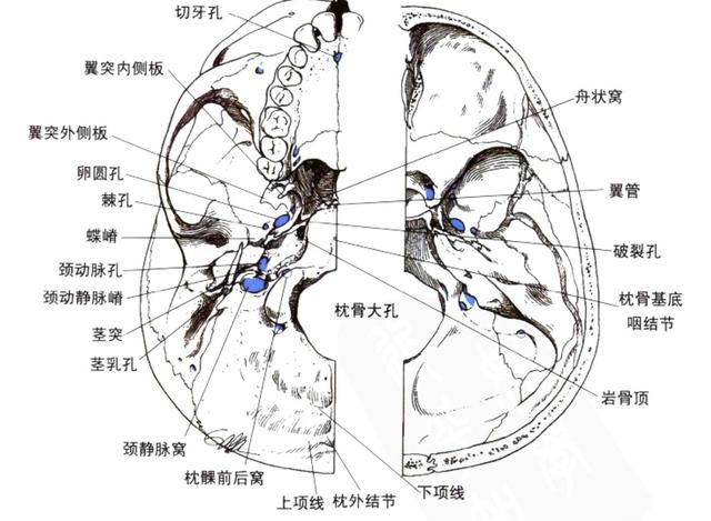 颈静脉球瘤的诊治