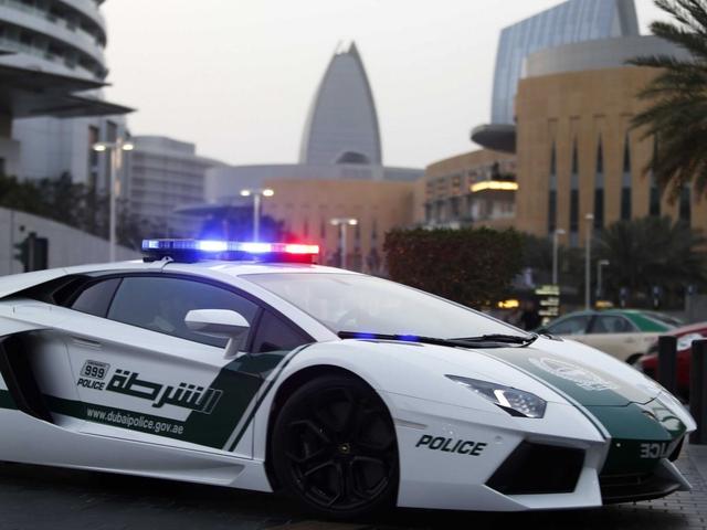 本地人出生即可免费分得         阿联酋还拥有世界最豪华的警车队伍