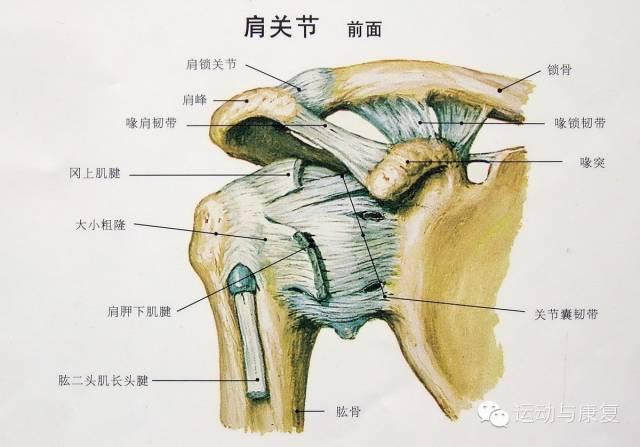 肩部评估流程