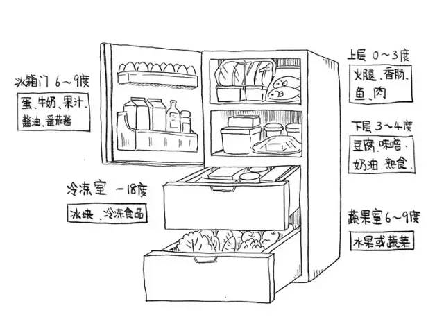 永远保鲜的安全感 | 史上最强冰箱使用指南