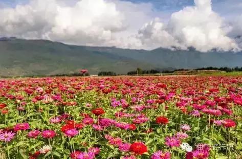 中秋节来丽江？那你必定不能够错过这篇活动全攻略