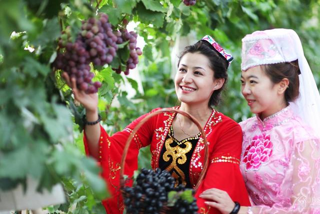 舌尖上的新疆:新疆吐鲁番葡萄又熟了!