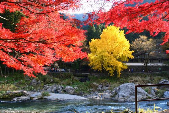 九月份的日本实在是太美!