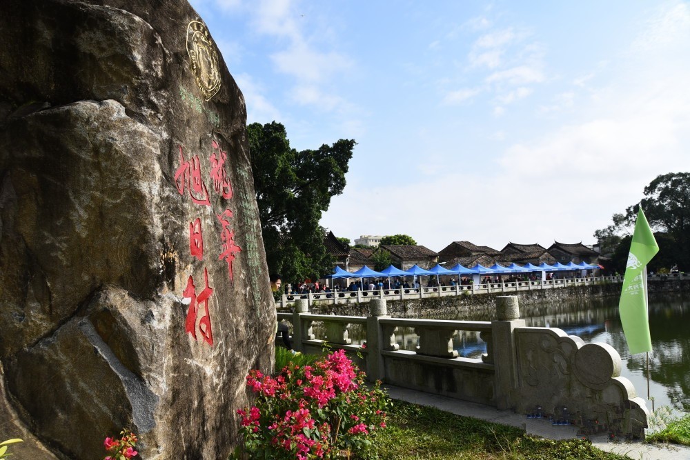 今年南粤古驿道定向大赛首站湛江徐闻,有哪些特别出名的海鲜?