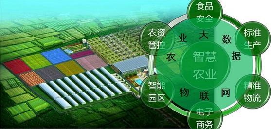 中国智慧农业大数据平台将为农民提供精准服务