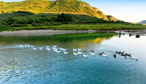 活动内容:9月15日至9月17日,48元可购老君顶景区通票(门票 漂流)