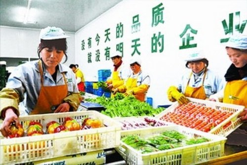 中国智慧农业网:生鲜配送 必须先行