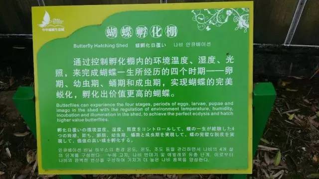 免门票活动】中华蝴蝶生态城景区---成都人的梦幻城免费耍,约起!