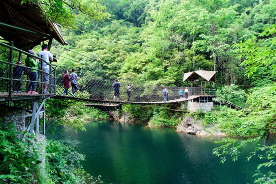 醉山野景区