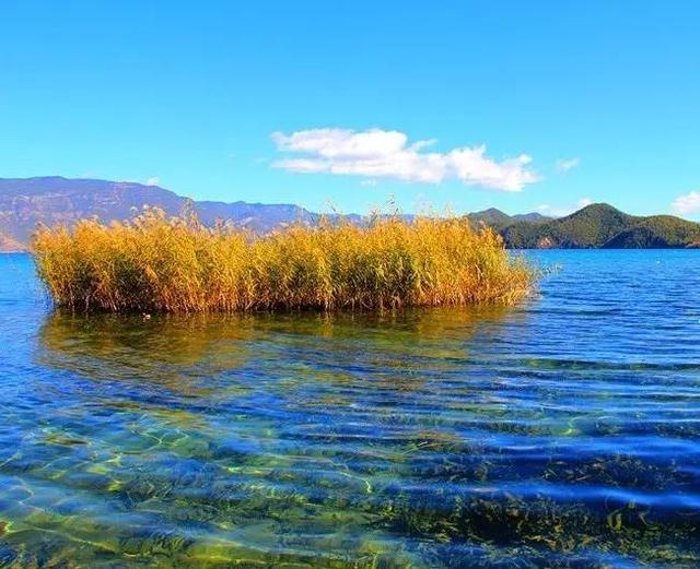 这颗平地明珠足以冷艳全部秋天！