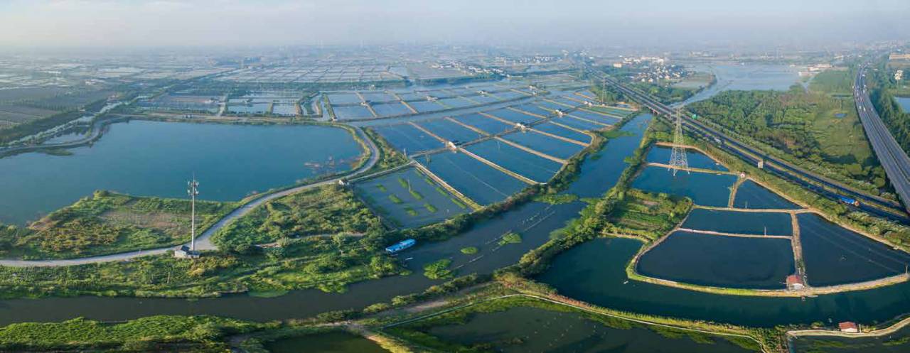 13000多公顷!常熟居然有八大湿地,第四个开始我就不知道了