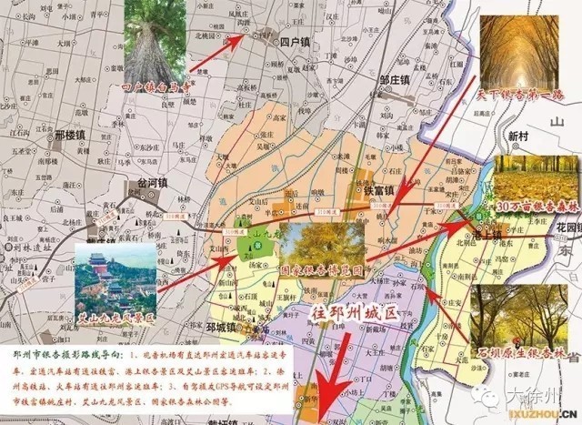 或通过gps导航可设定邳州市铁富镇姚庄村,国家银杏森林公园等.图片