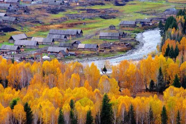 再过7天,新疆喀纳斯将成为全中国最美的摄影