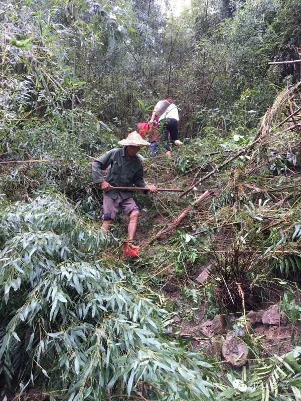 霞拔多少人口_博社村人口多少