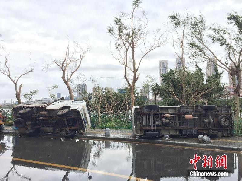 厦门市多处道路被倒伏树木完全阻断超强台风"莫兰蒂"有多厉害?