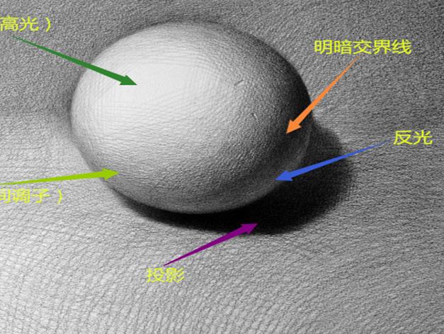 如何学素描——素描中明暗关系是什么