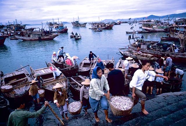 海南有多少人口_一家老小十口人海南三亚自由行