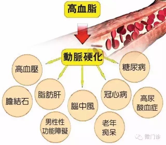 高血脂能不能够逆转？十道有用药膳，能保持喝就行