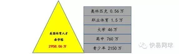 十二美国体育人才金字塔的构成3